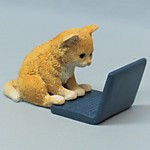 ED9791 Котёнок с ноутбуком