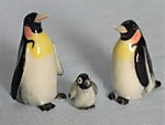 K275-1 Королевские пингвины семья