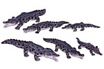 K390 Крокодилы набор 3 шт. 9-13 см